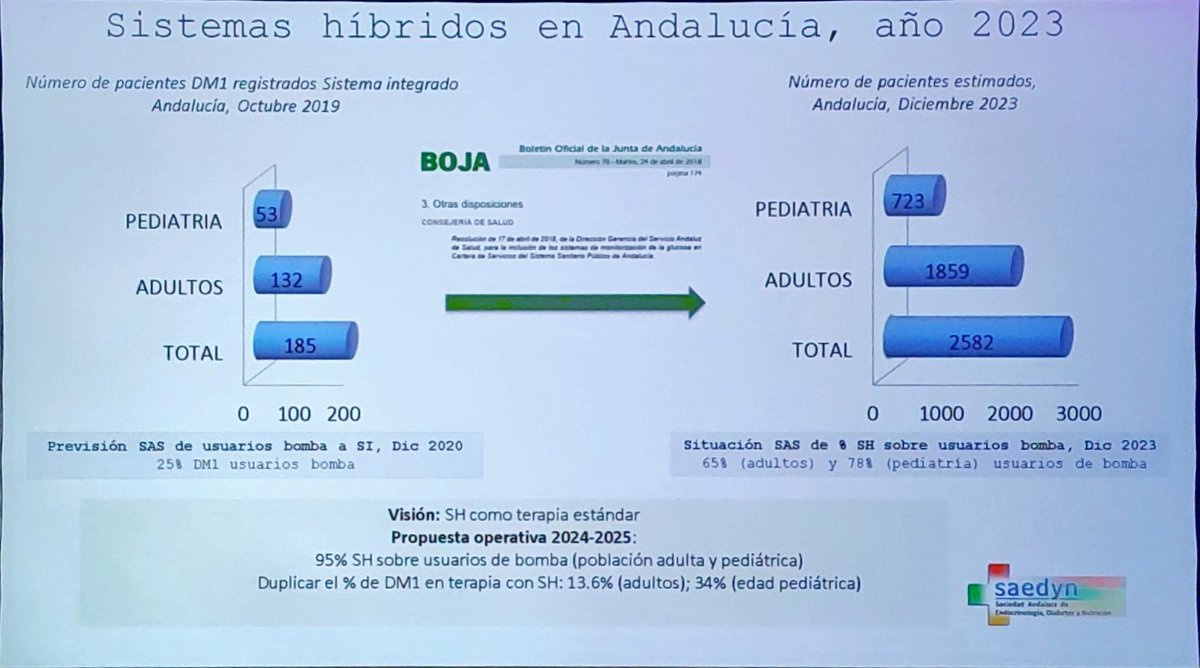 María José tweet media