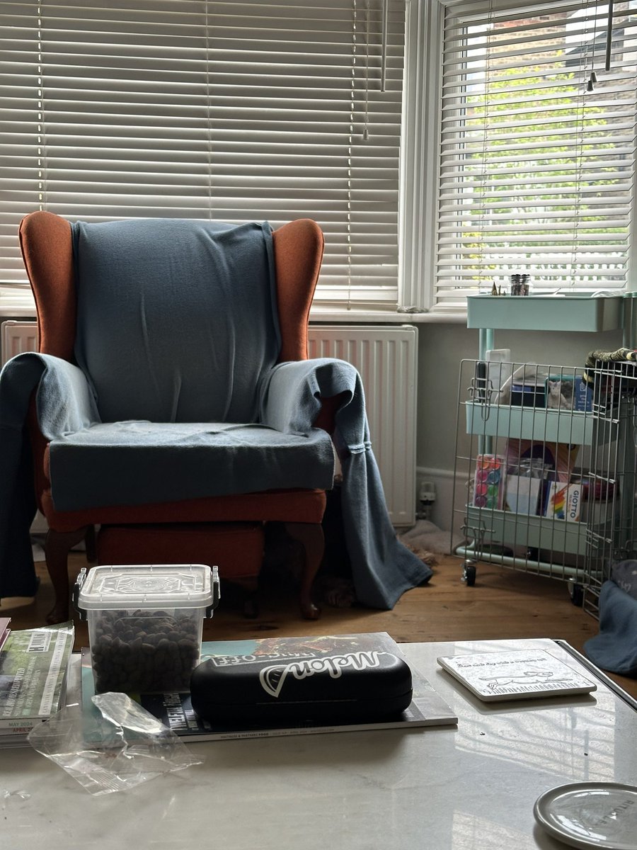 ski_57's tweet image. Can you see him? #FindTheDog