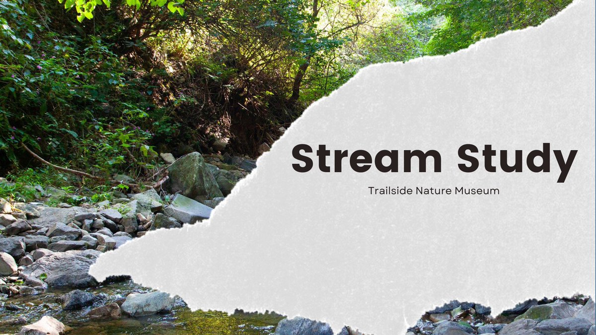 Explore the stream at Kimberly Bridge at Ward Pound Ridge Reservation, Saturday, May 18, 1 p.m. to 2:30 p.m., learning hands-on about the inhabitants of the stream, their lifecycles and the incredible biodiversity of this type of habitat. Ages 6-12. Closed-toed shoes required.