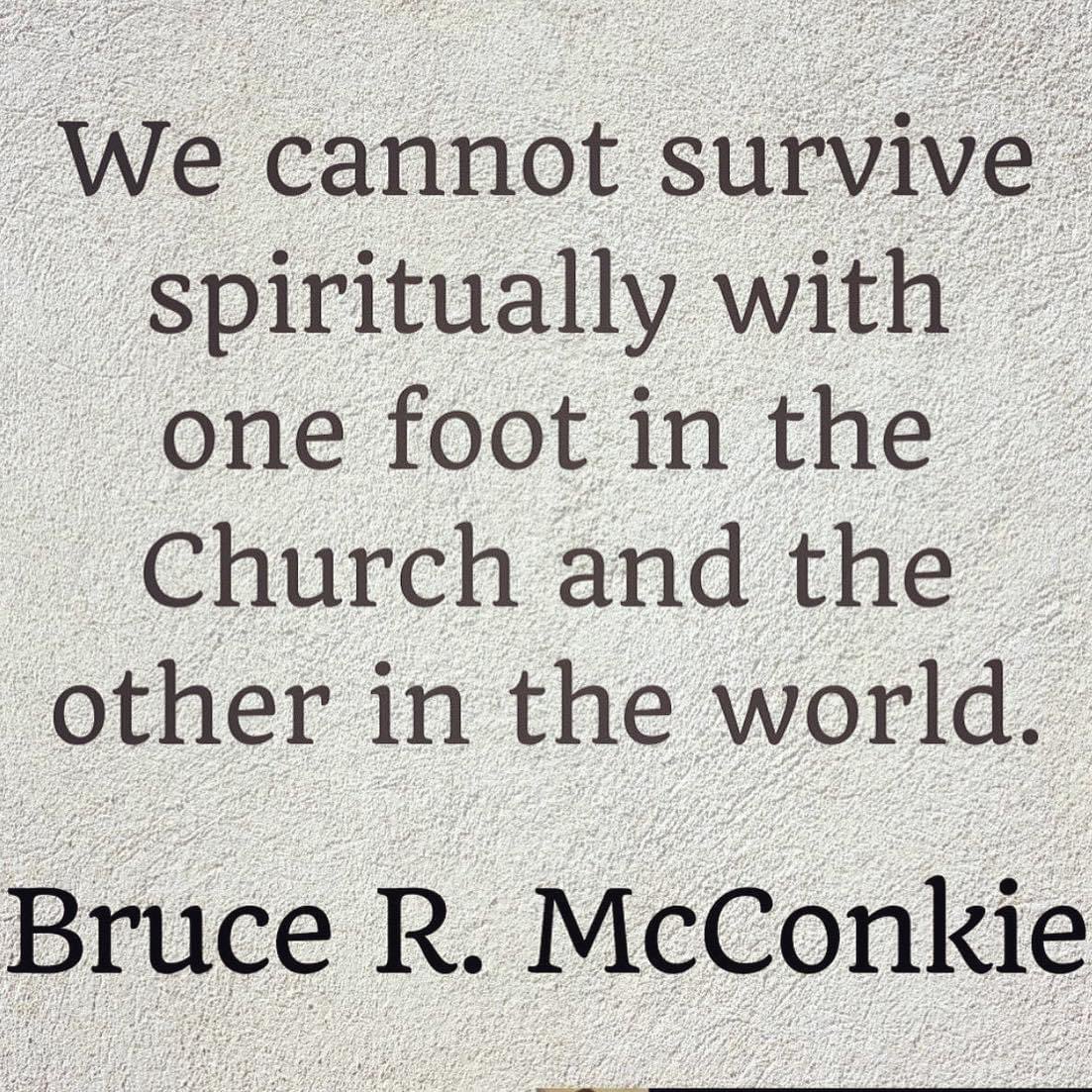 “We cannot survive spiritually with one foot in the Church and the other in the world.” ~ Elder Bruce R. McConkie 

#TrustGod #CountOnHim #WordOfGod #HearHim #ComeUntoChrist #ShareGoodness #ChildrenOfGod #GodLovesYou #TheChurchOfJesusChristOfLatterDaySaints