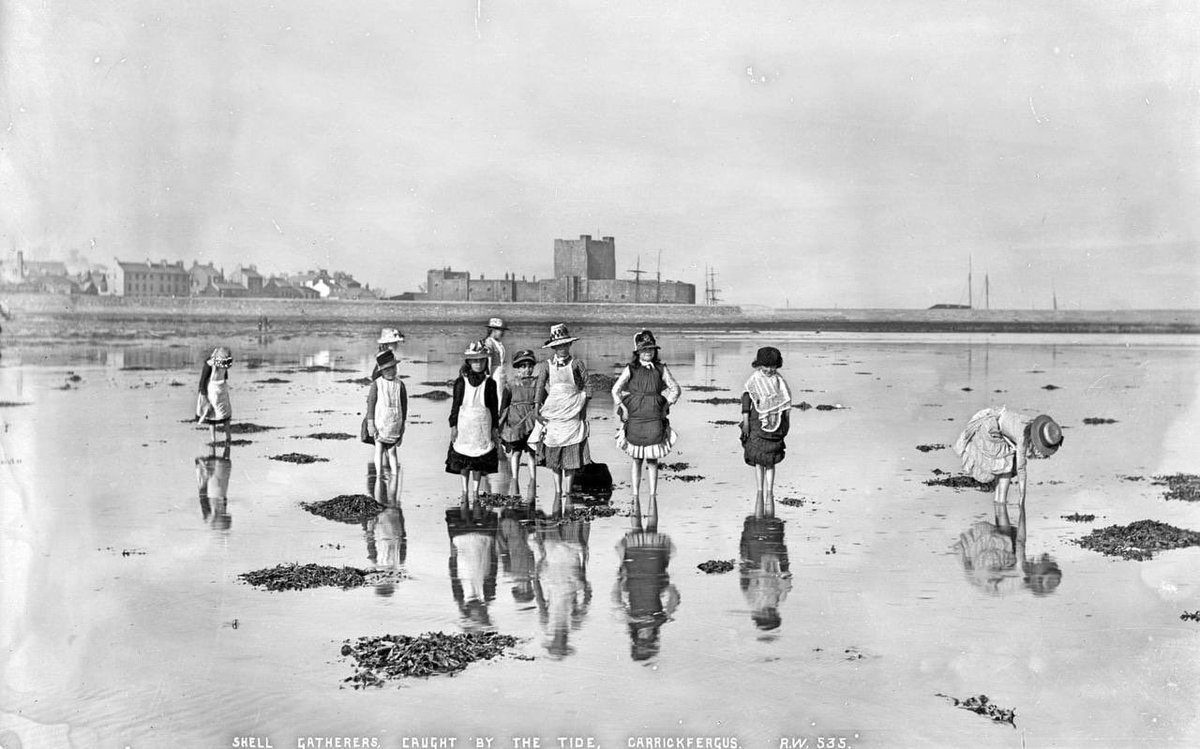 Women Gathering shells at Carrickfergus, in Co Antrim. Taken circa 1888.