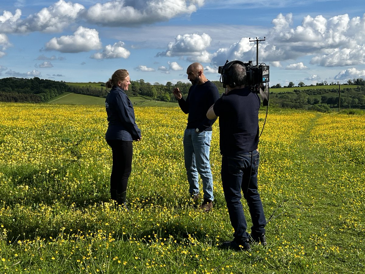 The sun has come out for the @itvweather team at our Magdalen Hill Down Reserve this evening ☀️ Tune in from 6:30pm to catch Senior Surveys Officer Dr Zoë Randle (@Moth_Lady) chatting to @alexberesfordTV about all things butterflies and moths! 📺🦋