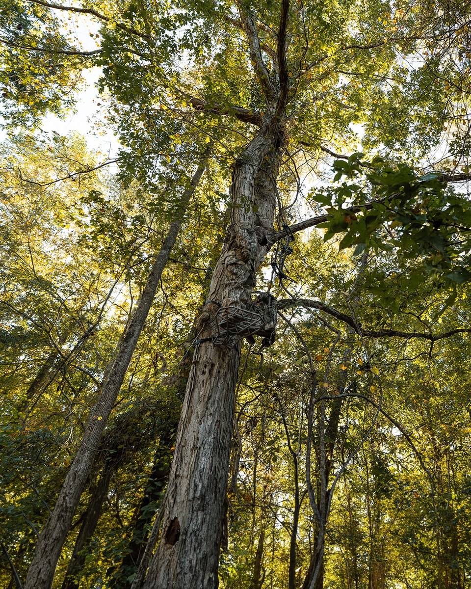 Realtree's tweet image. Who&apos;s thinking about deer season?

#Realtree #RealtreeAPX