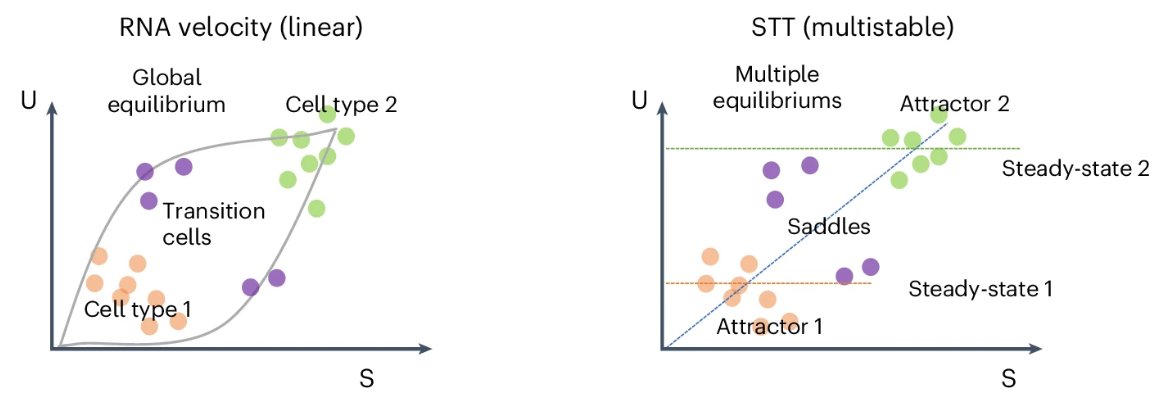 Nature Methods (@naturemethods) on Twitter photo Spatial Transition Tensor or STT, developed by Qing Nie and colleagues <a href="/UCI_CMCF/">Multiscale Cell Fate Research</a> is a method that connects messenger RNA splicing and cell state transitions across spatiotemporal dimensions.
nature.com/articles/s4159… Spatial Transition Tensor or STT, developed by Qing Nie and colleagues <a href="/UCI_CMCF/">Multiscale Cell Fate Research</a> is a method that connects messenger RNA splicing and cell state transitions across spatiotemporal dimensions.
nature.com/articles/s4159…
