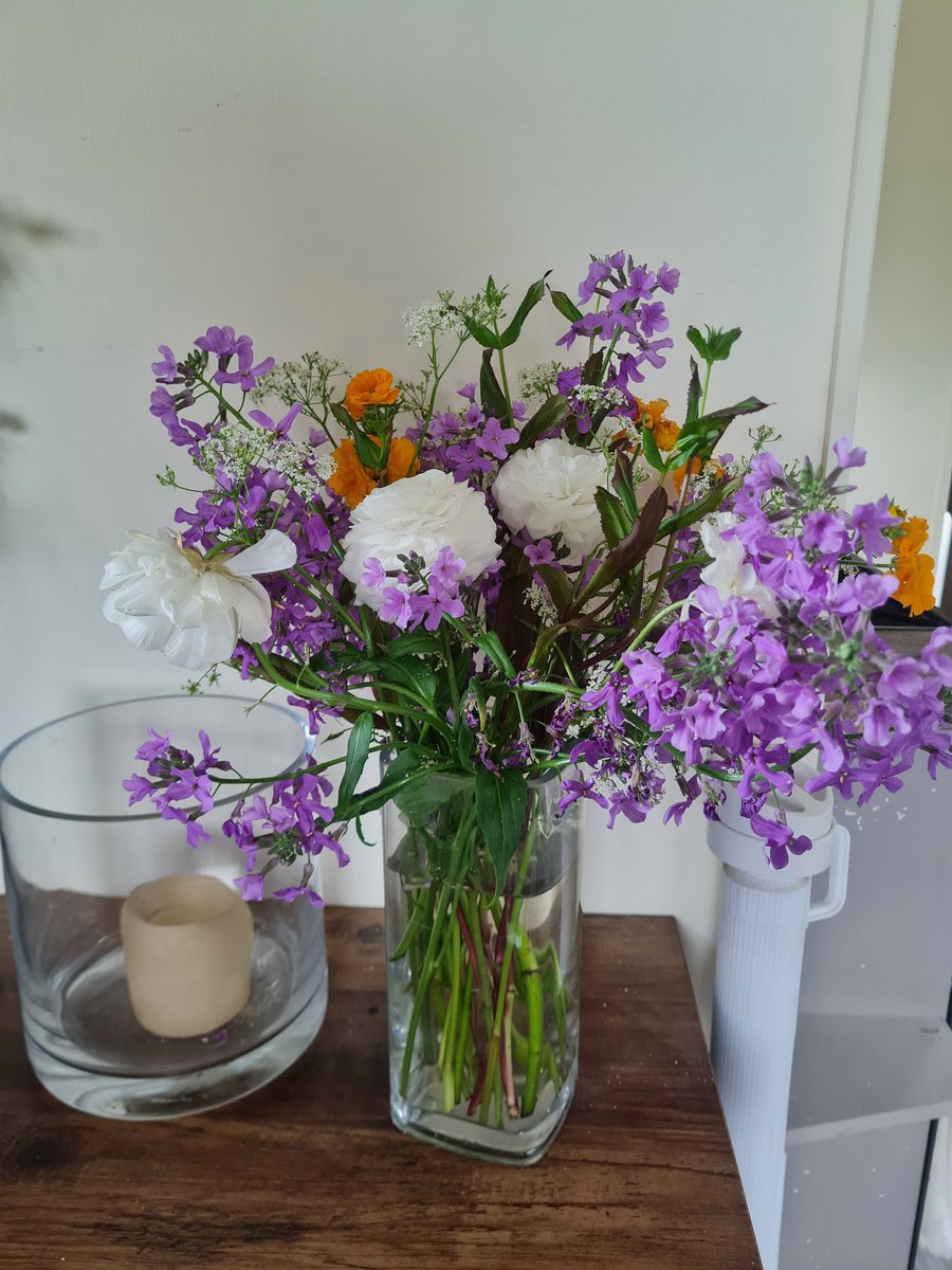 Picked these a week ago - looking better if possible!

#buybritish #cutflowers