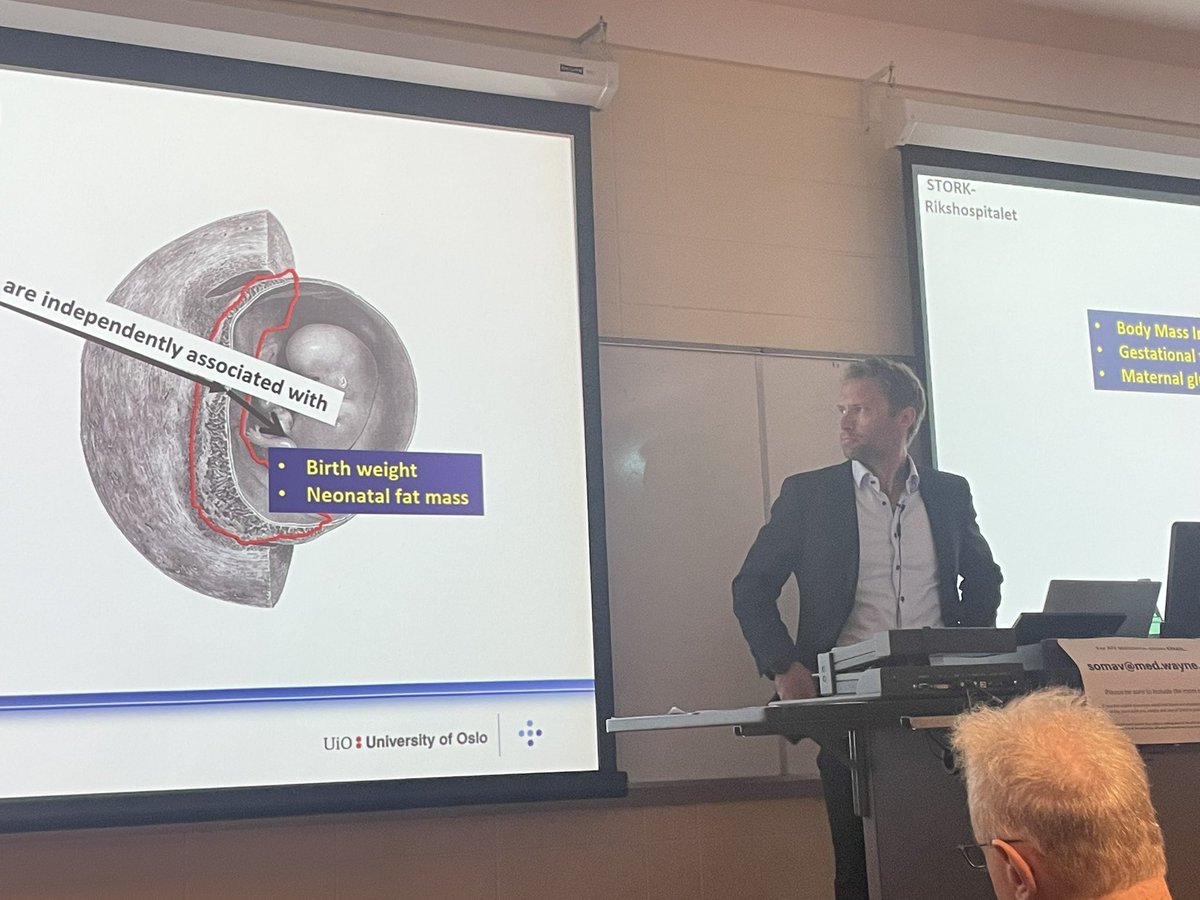 Amazing talk by our guest Dr. Trond M. Michelsen about a placenta glucose consumption using an invivo model.