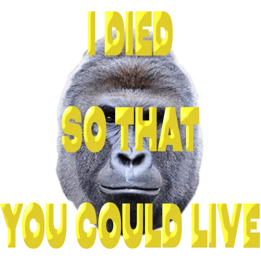 Harambe On Base tweet media