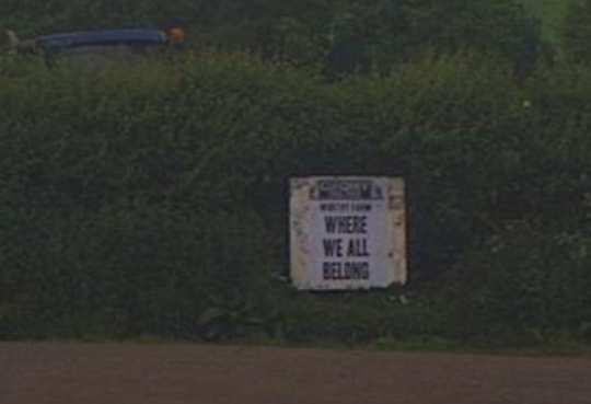 MartinCurtis01's tweet photo. @glasto_webcam New post-er.... 
@glastonbury poster dude in action again! 
Where we all belong indeed.....
#Glastonbury2024 https://t.co/pv7NxPCwKQ