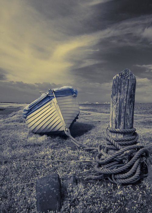 #BuonaSerataInPoesia
      💫💫💫

..] Però finivo sempre per tornare allo stesso posto, come una barca dal timone bloccato. Quello ero io. Non potevo andare da nessuna altra parte.
Ero lì, e aspettavo di tornare.
✒️Haruki Murakami

#VentagliDiParole 

📸 fienartamerica