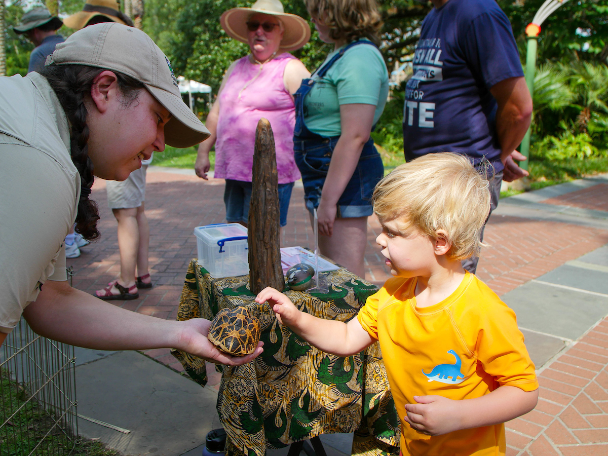 We're celebrating endangered species this Saturday, May 18 at Party for the Planet presented by @EntergyNOLA! There will be keeper chats, animal feeds, & conservation neighbors talking about different species of animals that are endangered in the wild: bit.ly/2VlGfnz