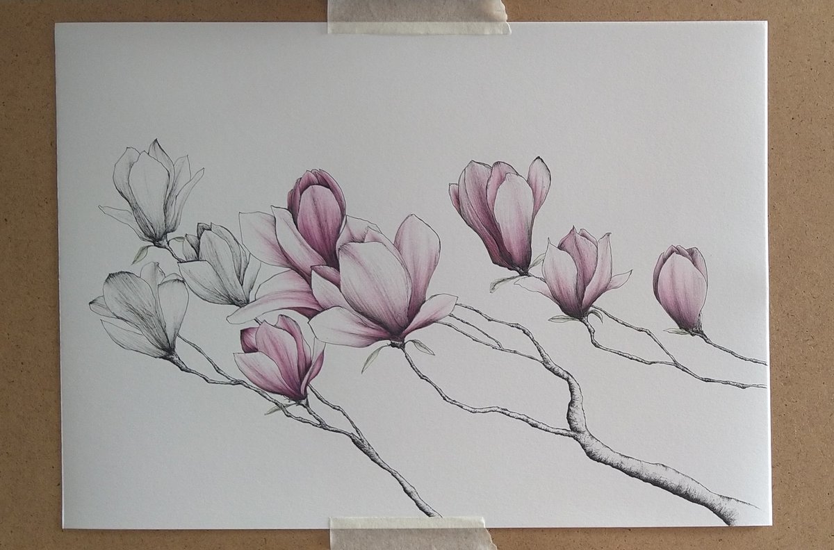 Matt Bridges tweet media