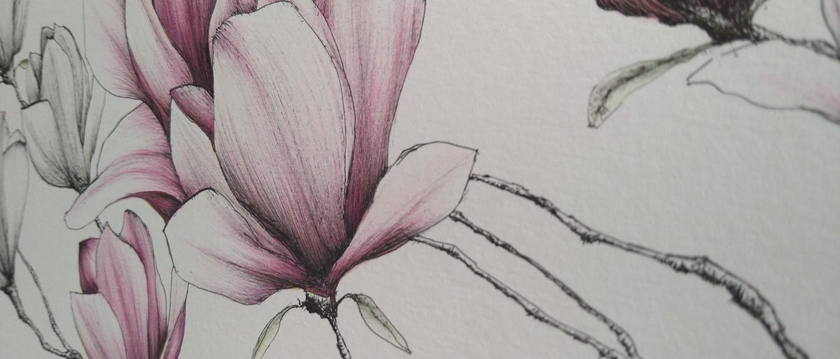 Matt Bridges tweet media