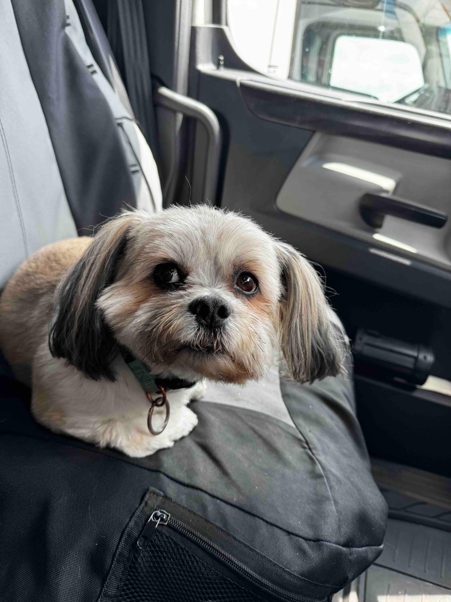 I cleaned the truck all morning and he’s the one tired lol figures lol