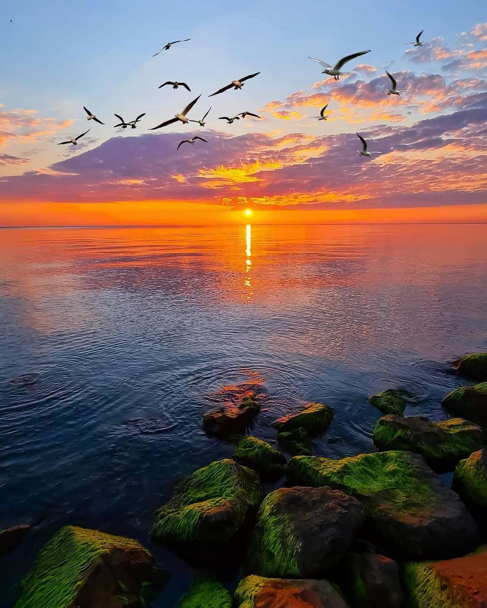 Sunset🧡 by Nilgün Kanık “A love meant to be, will always find it’s way back.”