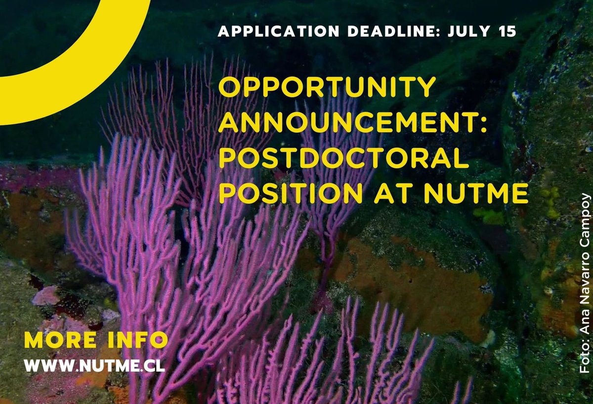 Núcleo Milenio NUTME (@nucleo_nutme) on Twitter photo 🔴Postdoctoral position is open at NUTME!
. 
More info at: nutme.cl/2024/05/16/opp…
.
Application deadline: July 15, 2024 🔴Postdoctoral position is open at NUTME!
. 
More info at: nutme.cl/2024/05/16/opp…
.
Application deadline: July 15, 2024