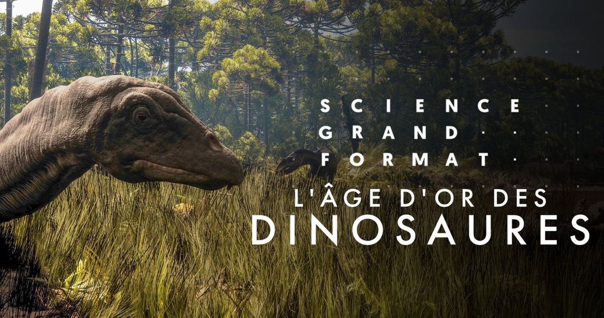 📺'L'âge d'or des #dinosaures' Documentaire sur une localité fossilifère dans le Wyoming 🇺🇸. ❗️ Ce soir : Jeudi 16 Mai à 21h sur France 5 #ScienceGrandFormat #Paléontologie #Documentaire