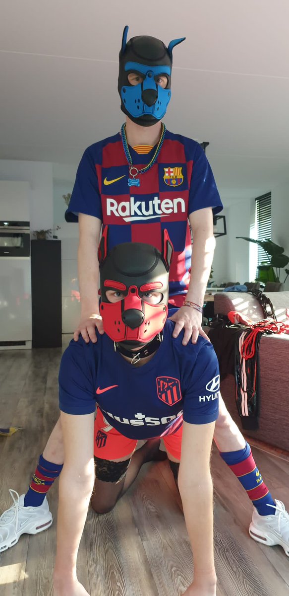 Look at us, 2 cute puppies! 1 of us is trying to be dominant, can you guess who? 😈
@danzel_pup