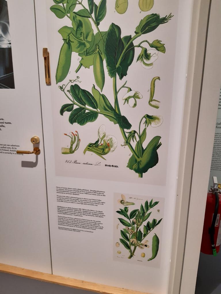 Leg4Life tweet media