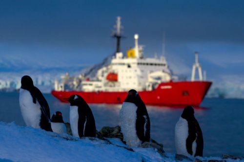 Ukrainian Icebreaker #Noosfera Concludes Third And Longest Antarctic Season. The Noosfera is expected to return to Ukraine when the full-scale Russian invasion of Ukraine ends.
en.cfts.org.ua/news/ukrainian…