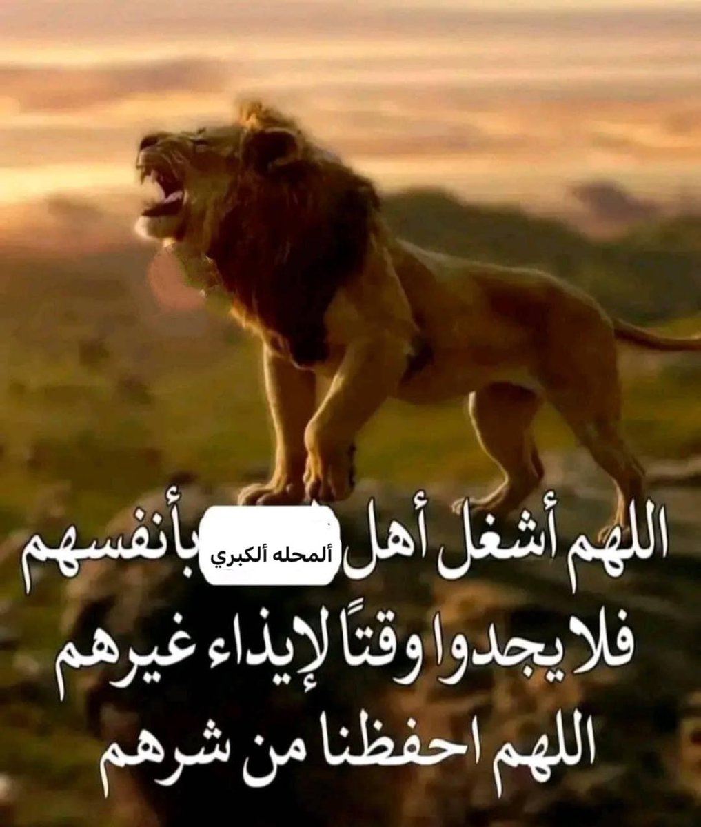 محمود. tweet media