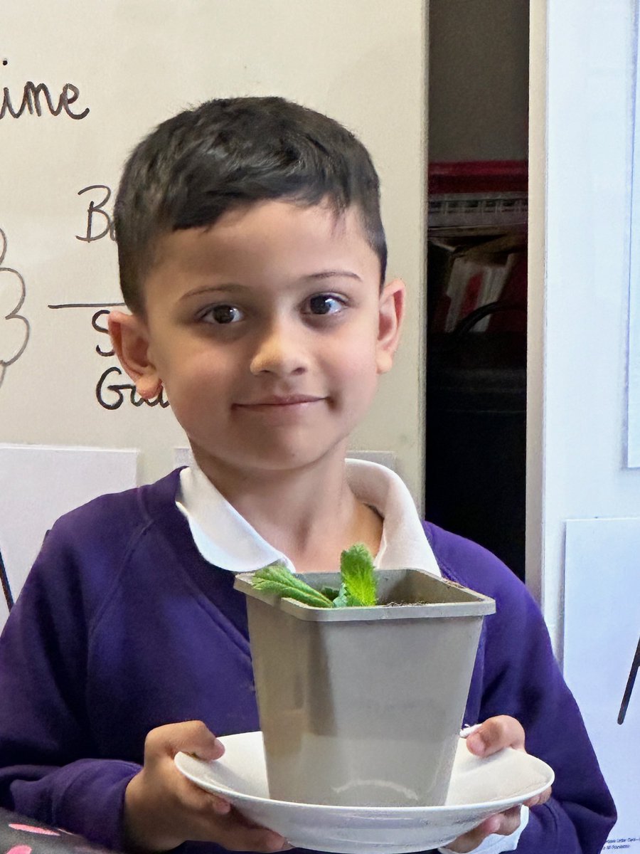 🌿 Cherry Class conducted a science experiment to uncover what plants need to grow and flourish! From sunlight to soil, our budding scientists explored all the essentials. We cannot wait to see what they discover next! #YoungScientists #PlantLife 🌱✨@thesteptrust