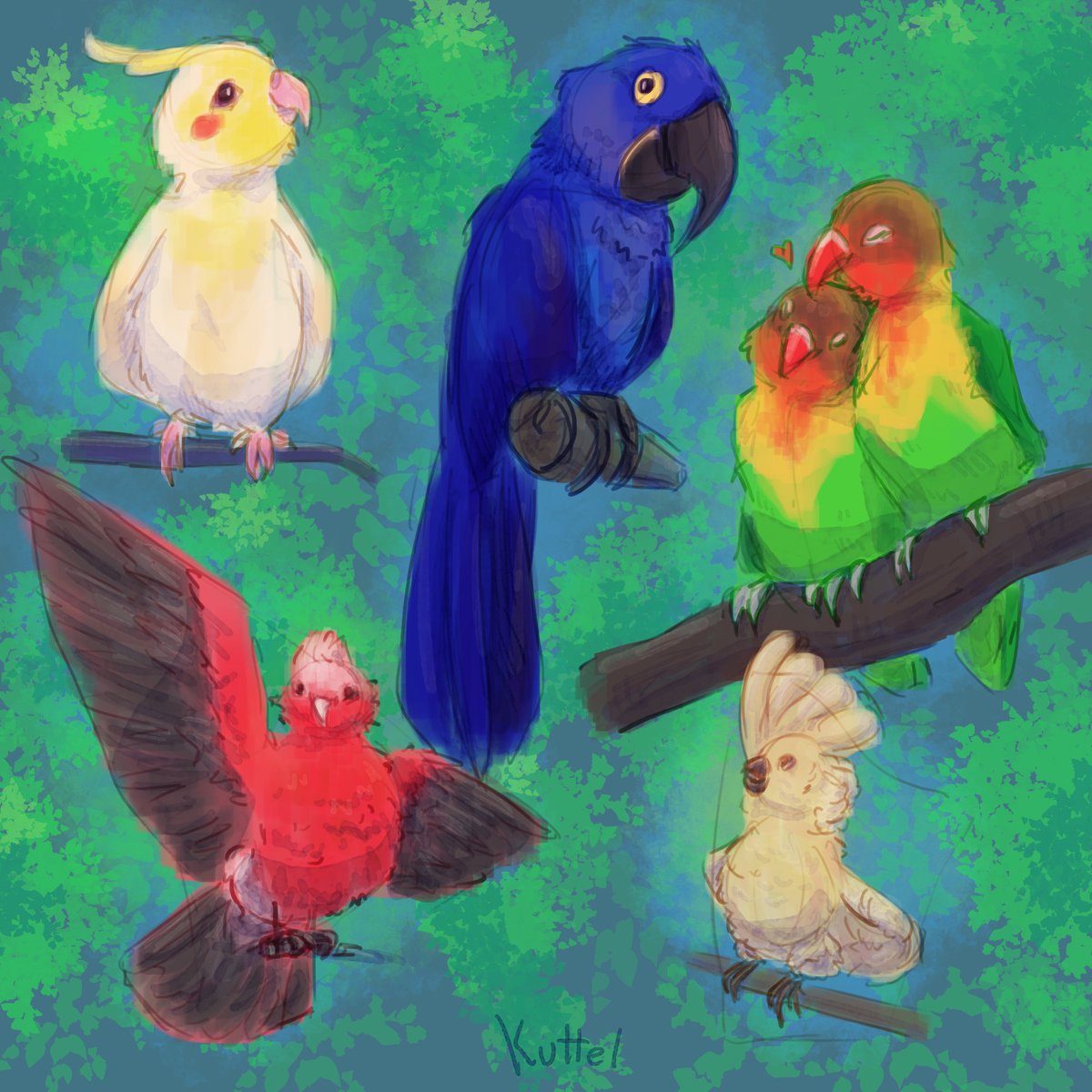 I really love birds, every time I'm depressed, drawing parrots helps me :)
#parrot #bird #parrotart #birdart #art #digitalart #sketch