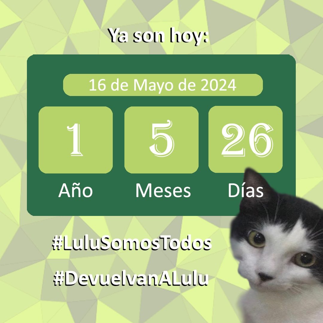 #16May No quedará camino por recorrer hasta encontrarte. Aunque cierren puertas, las #Seguimos tocando, hasta que abran. Insistir no nos cansa, #LuluSomosTodos. Porque aún con una #Justicia en pausa sabemos que habrá #LuluEsElMilagro. Gracias!