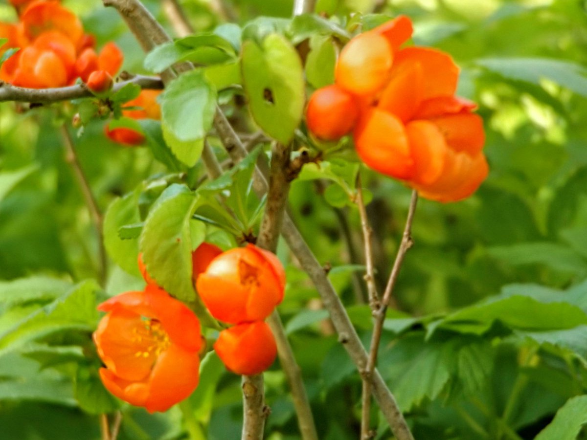 HPaluste's tweet image. #SpringLove #colors