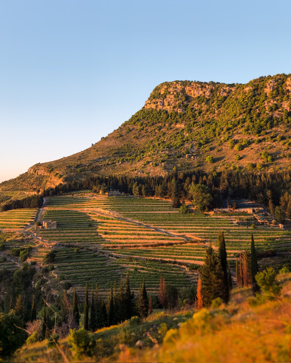 Heaven ❤️ 📍Jezzine, Lebanon