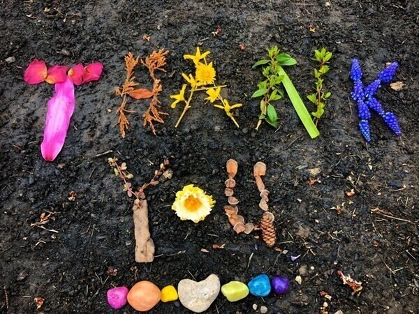 A huge Thank You! to our AMAZING Guides! Meghan, Owen, Leah, Brooke and Serenity - you make our DSBN outdoor education campuses impactful outdoor experiences for students every day! And to Ron and Colin for keeping our buildings so clean and mud free :) @dsbn @DSBNOutdoorED