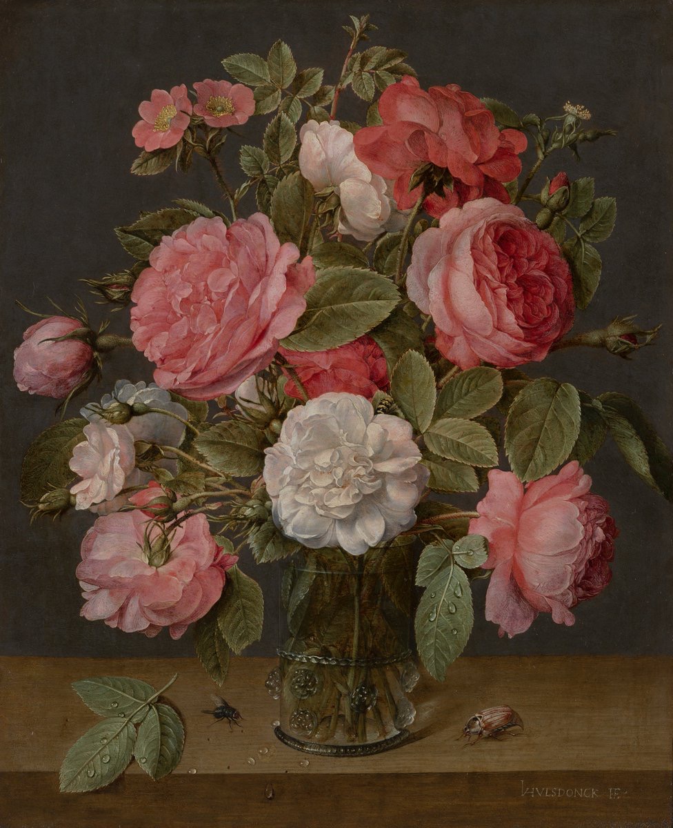 Jacob van Hulsdonck Roses in a Glass Vase c. 1640-1645. (Mauritshuis, The Hague)