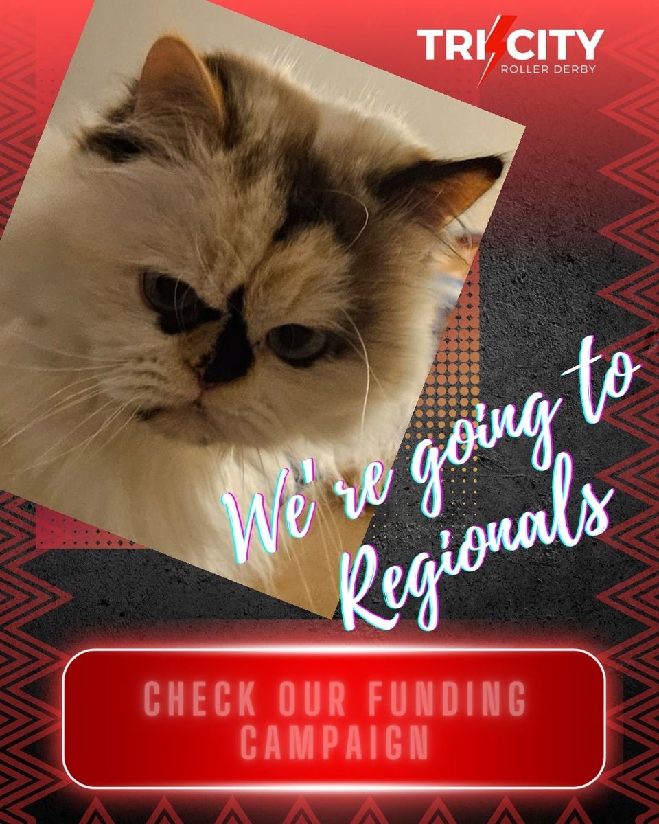 We're fundraising to get to playoffs. We leave today! Meet: Statsofear. During games you can find them inputting information at lightning speed into perfectly curated spreadsheets with complex functions. 
Donate: gofund.me/d42de11c
Rewards: shorturl.at/xyBV4