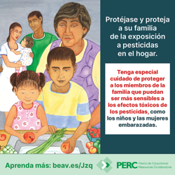 It’s National Farmworker Women’s Health Week! #NFWHW2024 💚 We’re joining @AFOPNational to create a lasting conversation about farmworker women’s health issues, including pesticide exposure. ➡️ beav.es/Jzq