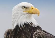 MartyParty tweet media