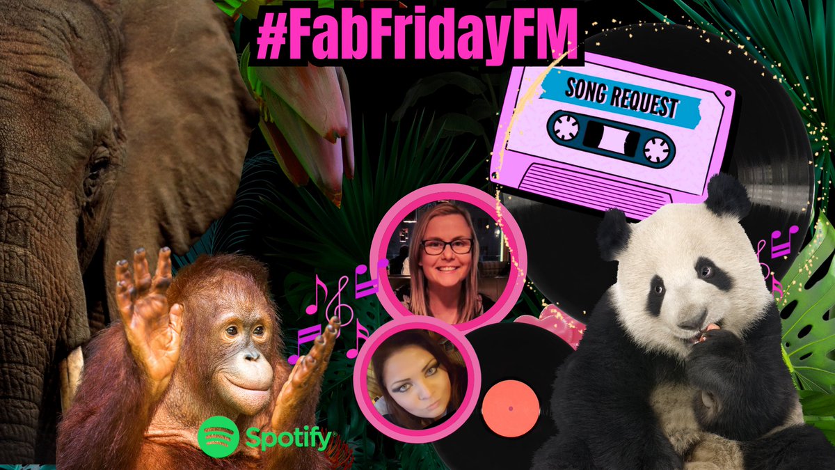JenKteach's tweet image. Happy Thursday everyone, the #FabFridayFM playlist is back this week. 
I'm standing in for the fabulous @TutorSinead Time to get your recommendations in for this Friday - National Endangered Species Day - Get your spirit animal song requests in!  @JoyfulFE @SusannaBrandon