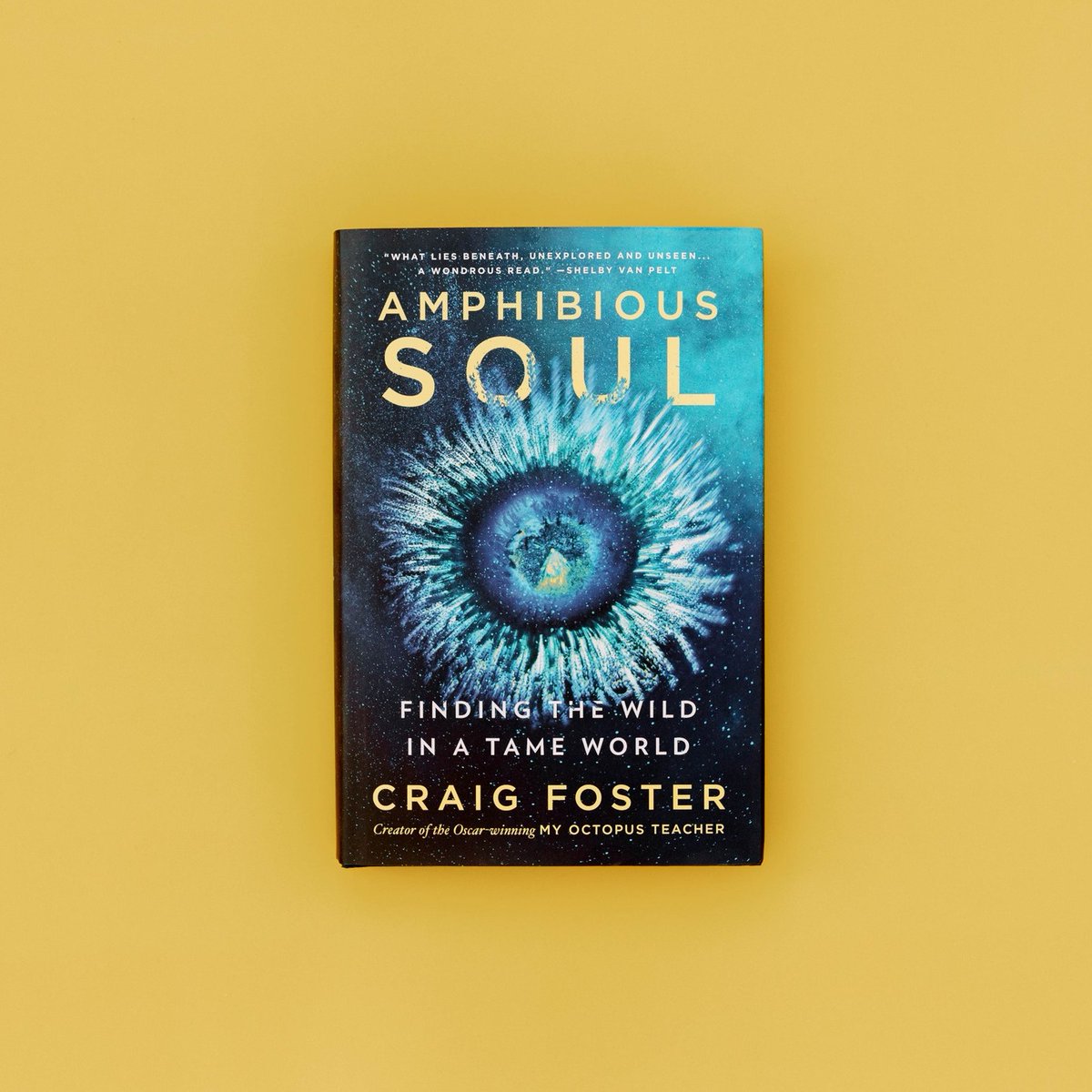 Amphibious Soul is 'a spiritual and urgent memoir,' according to @latimes. Read their full review of Craig Foster's riveting story—on sale now. lat.ms/3wAbWlu