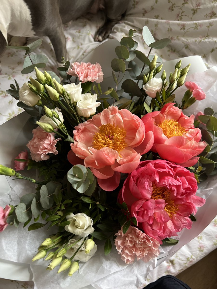 juliabeaudett's tweet image. а мне тут подарили самый красивый букет в моей жизни