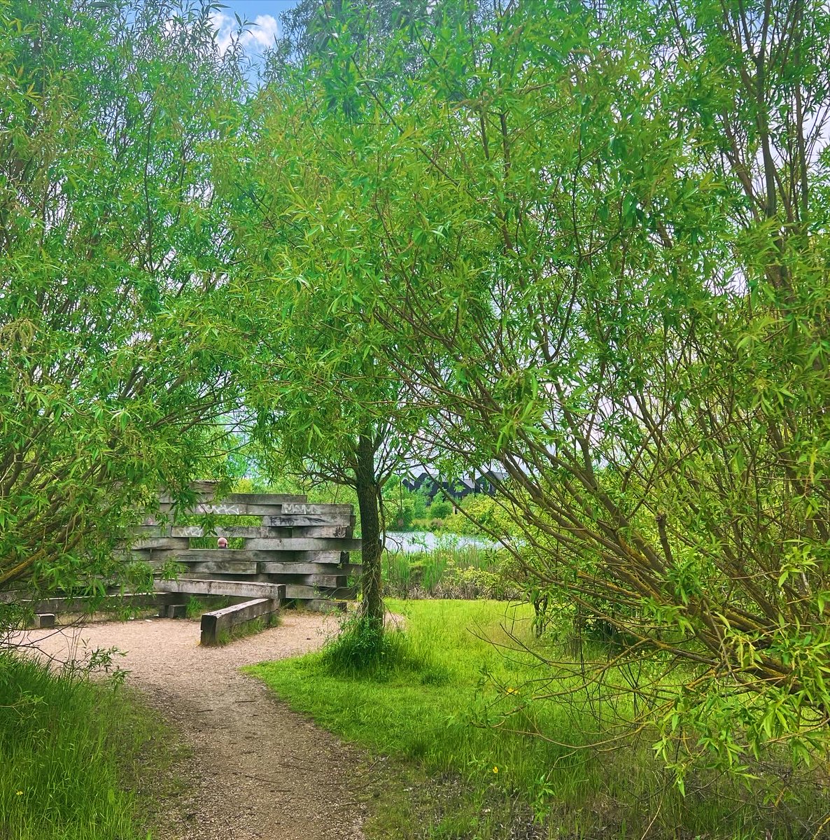 CRUK_CI's tweet image. A fab effort from @CRUK_CI members who took on the challenge to 💚Wear it Green💚 this Mental Health Awareness Week!

In addition to #WearItGreen Day, organised by the @mentalhealth foundation, our staff &amp;amp; students enjoyed green treats in the cafe and took time out in nature🌿