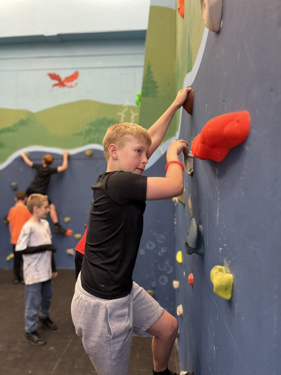 Year 5 Bryn Coch tweet media