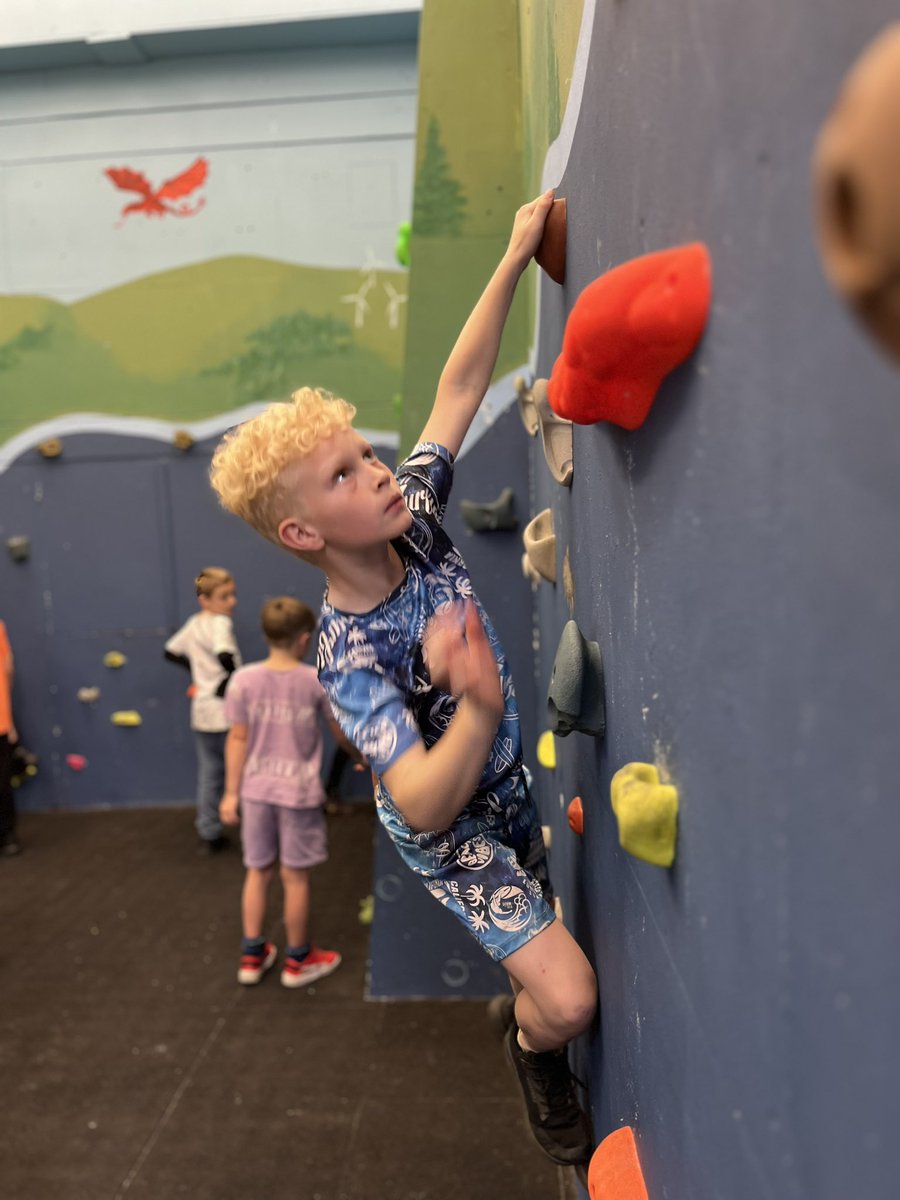 Year 5 Bryn Coch tweet media