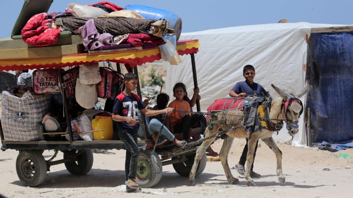 På ti dage er 600.000 palæstinensere flygtet fra Rafah, men 'intet sted i Gaza er sikkert' dr.dk/nyheder/udland…