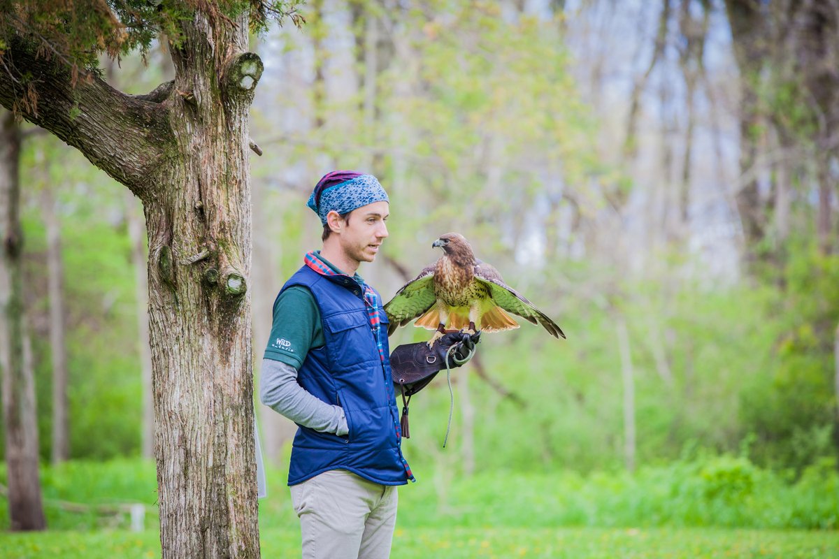 Birds of prey are important parts of our ecosystem – Join @Wild_Ontario all long weekend-long from 11am-4pm at the Visitor Centre tent and learn more about these amazing creatures.
Full festival schedule: ow.ly/Ykzh50RIMYE