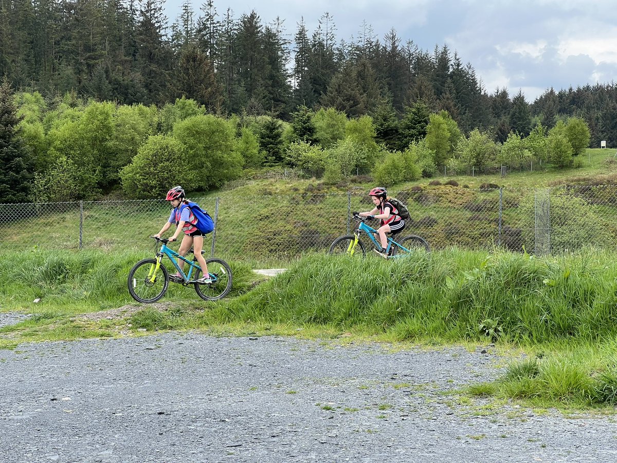 Year 5 Bryn Coch tweet media