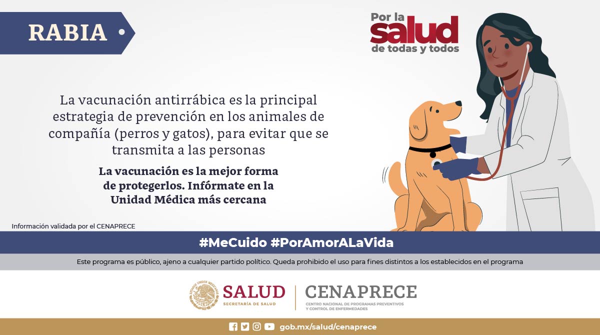 Infórmate sobre la #Rabia 🐾

¿Sabías que la rabia es una enfermedad 100% prevenible?

¡Vacuna a tu mascota!  🩺💉 🐕🐈

Más información en ➡  bit.ly/3T1Ryj2

#MeCuido #PorAmorALaVida