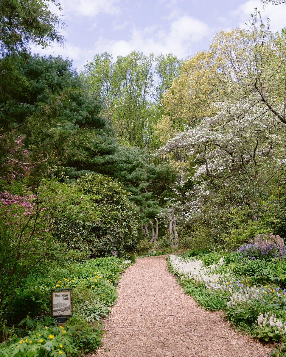 dolaphoto's tweet photo. If you know me, you know how much of a plant lady I am, so I had an absolute field day creating new work for @MtCubaCenter, a beautiful botanical garden committed to the conservation of native plants and their habitats. 

https://t.co/J2sfOggWyS https://t.co/bB8cU9dLnQ
