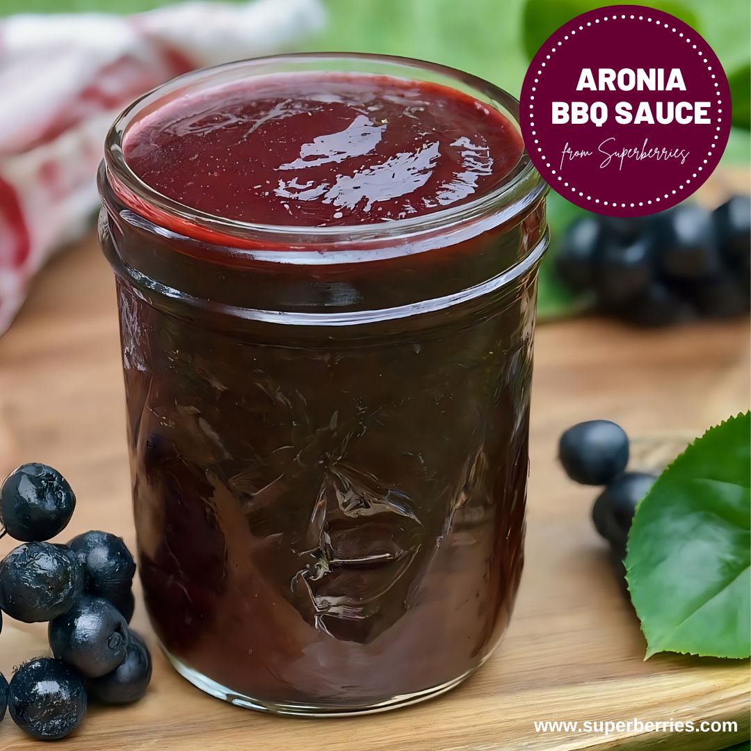 Happy Barbecue Day! Try our Aroniaberry BBQ Sauce. Aroniaberries aren't just for smoothies, they also make an incredible barbecue sauce. This berry-flavored sauce is not only delicious but also acts as a meat tenderizer. Perfect for grilling. Recipe: superberries.com/aroniaberry-bb…