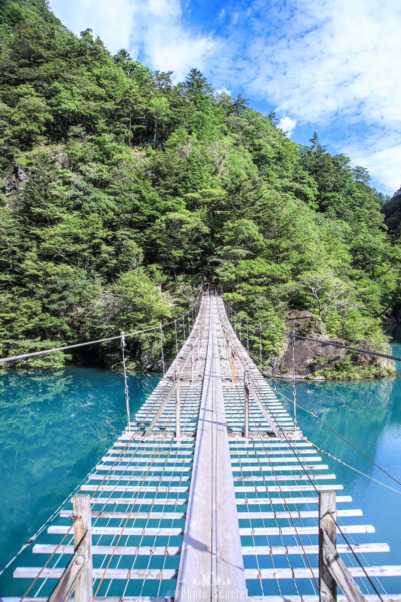 静岡県にある夢のような吊り橋