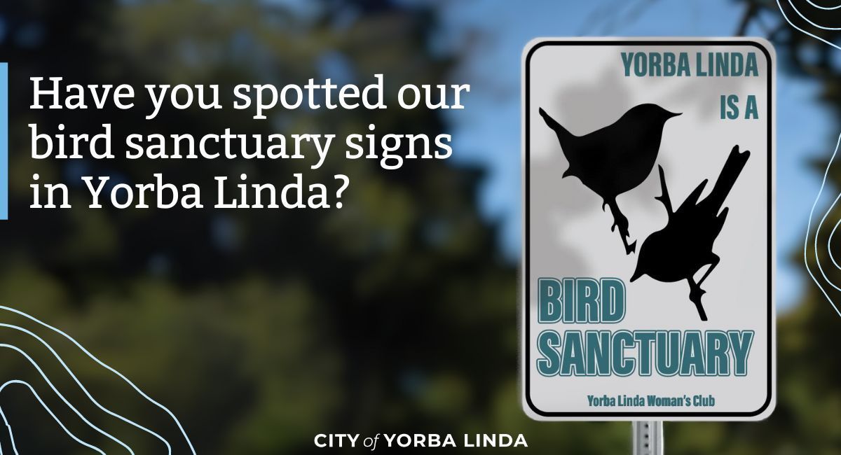 Hey Yorba Linda residents! Did you know our City is a bird sanctuary? 🕊️ Since 1968, we've protected wild birds and their nests. Thanks to the Yorba Linda Woman's Club, bird sanctuary signs were added in 2013. 🐦 #YorbaLinda #BirdSanctuaryCity