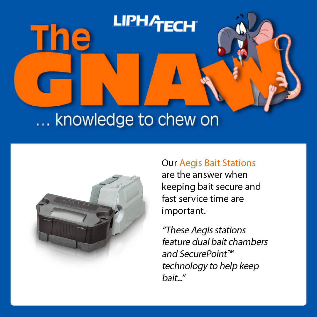 This month’s edition of The GNAW is out! Unlock the secrets of efficient pest control using our Aegis Bait Stations!

Read NOW » bit.ly/4bFOB0s

#PestManagement
#BaitStation
#Liphatech