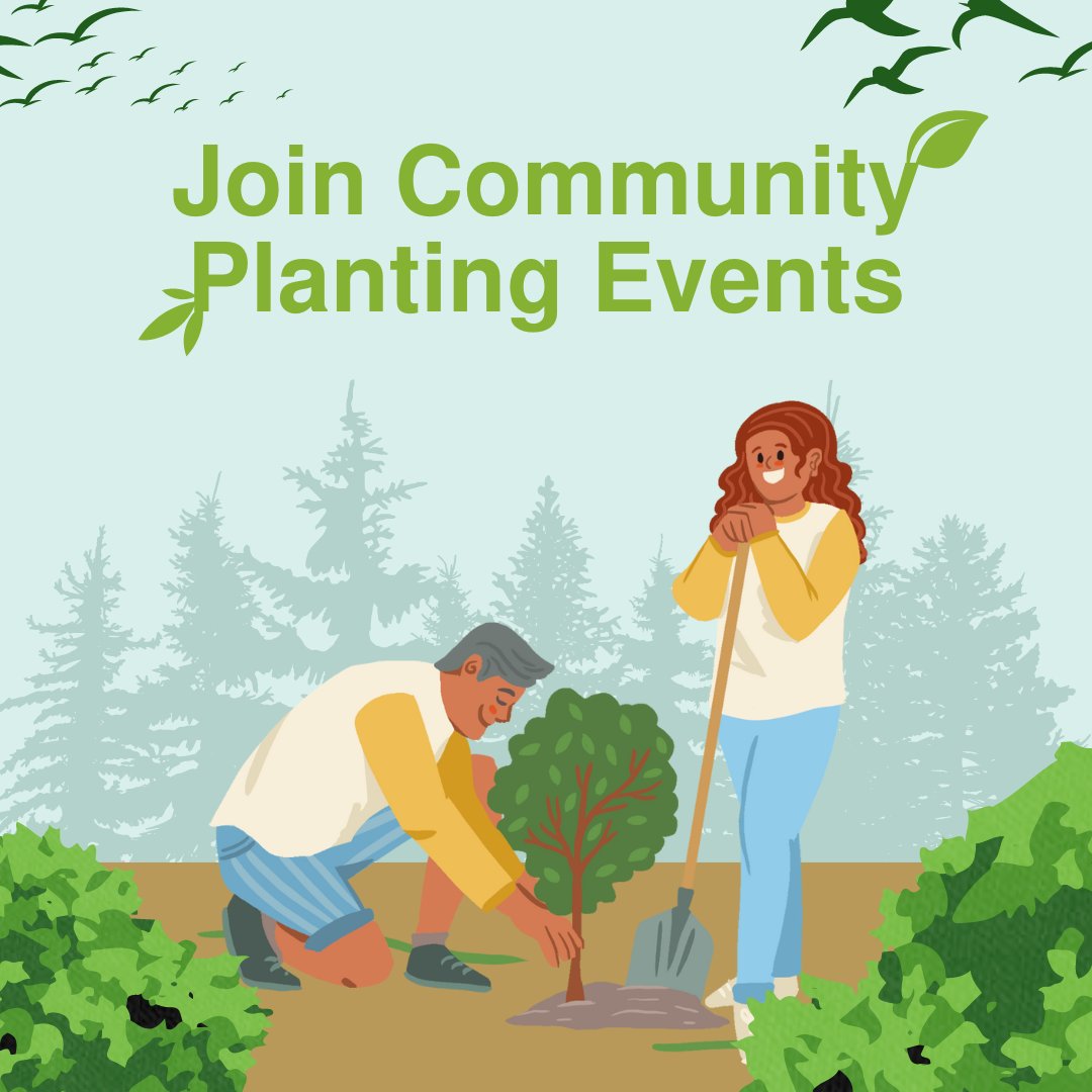 TownOfCambridge's tweet image. 🌱Get involved with your local Natural Area Friends Groups across the Town this Autumn and Winter. 🌳 

Get involved 👉 ow.ly/mcjM50RFjPN

#CommunityPlanting #TownOfCambridge #GetInvolved #NativePlants #Gardening #CommunityEvents